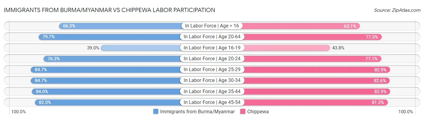 Immigrants from Burma/Myanmar vs Chippewa Labor Participation