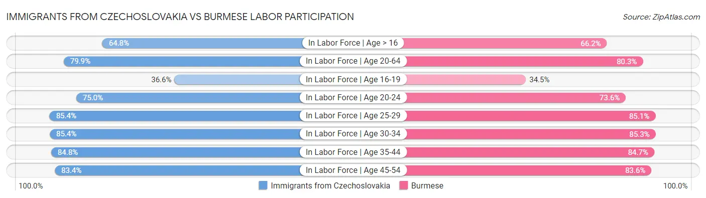Immigrants from Czechoslovakia vs Burmese Labor Participation