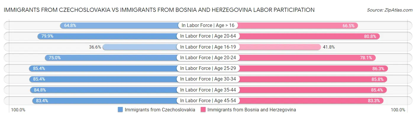 Immigrants from Czechoslovakia vs Immigrants from Bosnia and Herzegovina Labor Participation