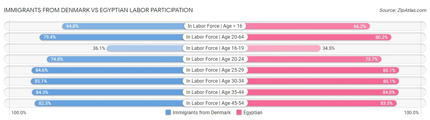 Immigrants from Denmark vs Egyptian Labor Participation