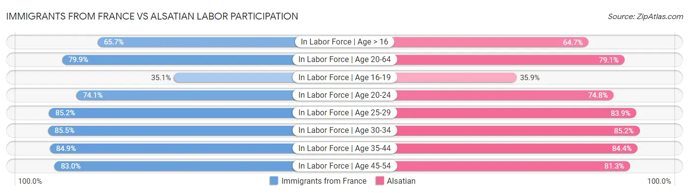 Immigrants from France vs Alsatian Labor Participation