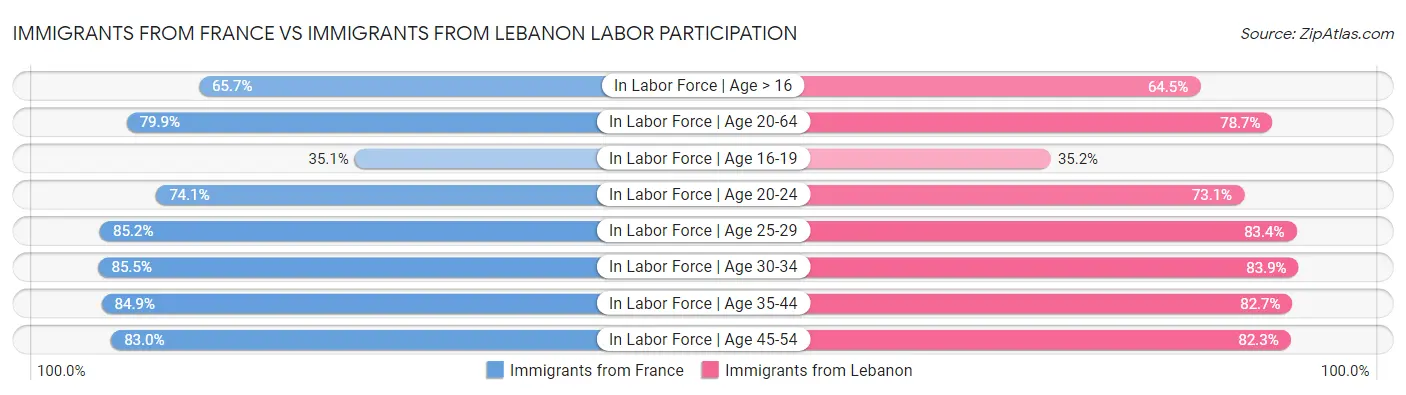Immigrants from France vs Immigrants from Lebanon Labor Participation