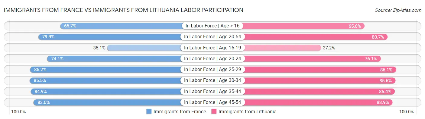Immigrants from France vs Immigrants from Lithuania Labor Participation