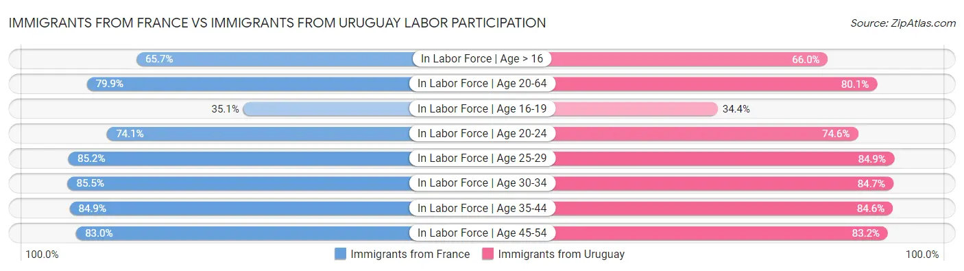 Immigrants from France vs Immigrants from Uruguay Labor Participation