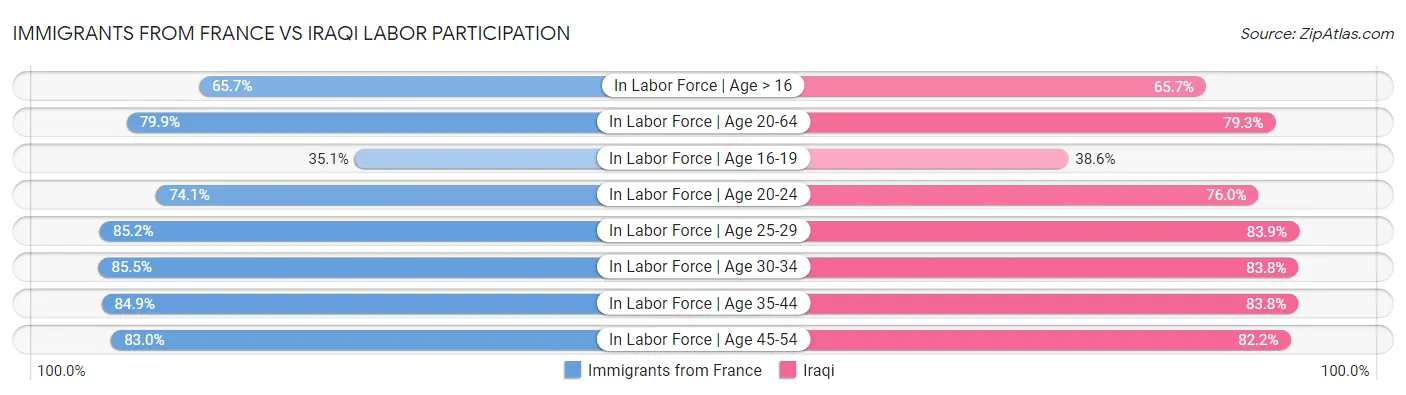 Immigrants from France vs Iraqi Labor Participation