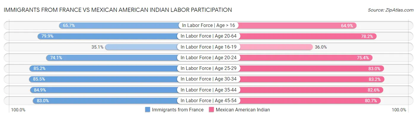 Immigrants from France vs Mexican American Indian Labor Participation