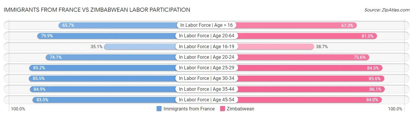 Immigrants from France vs Zimbabwean Labor Participation