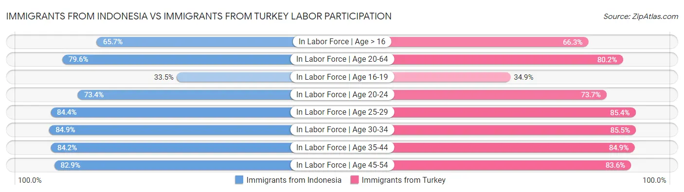 Immigrants from Indonesia vs Immigrants from Turkey Labor Participation