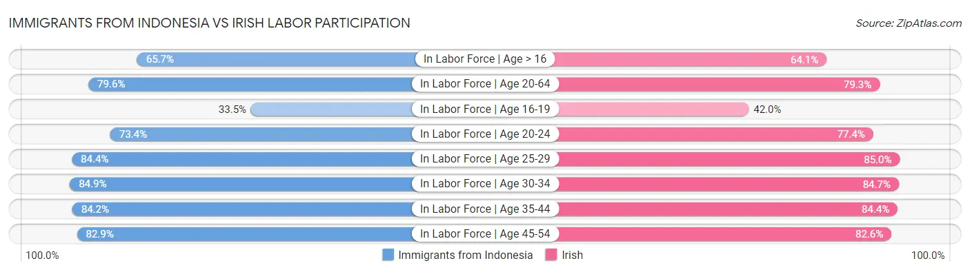 Immigrants from Indonesia vs Irish Labor Participation