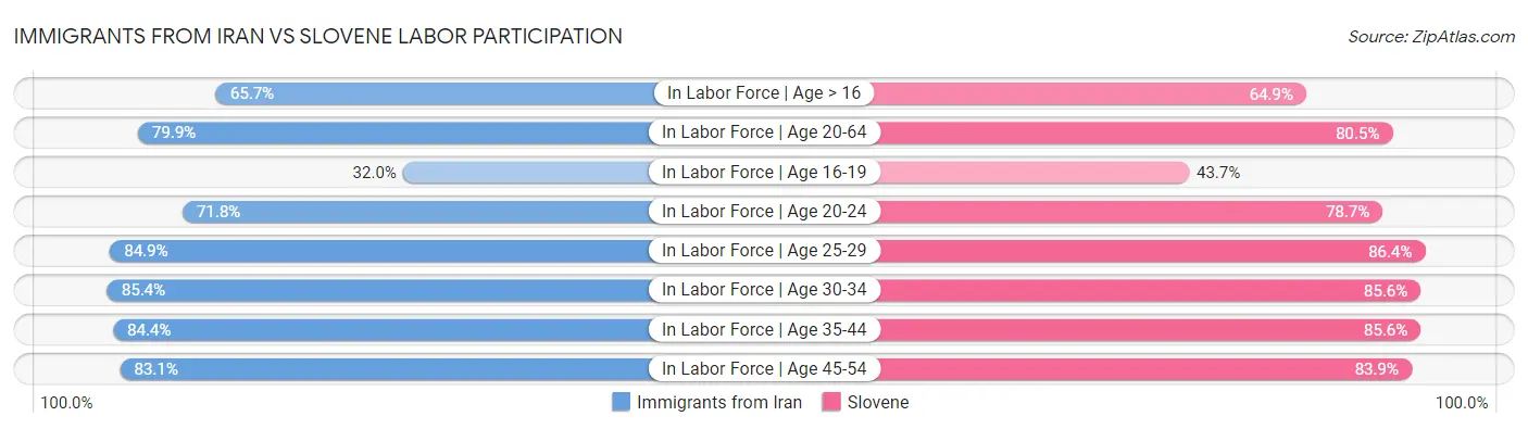 Immigrants from Iran vs Slovene Labor Participation