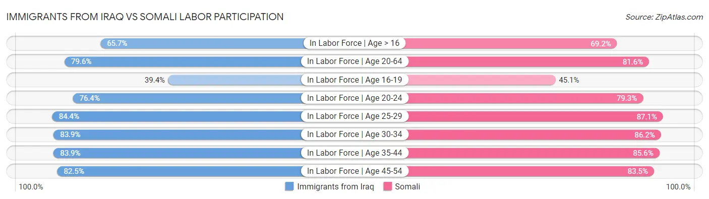 Immigrants from Iraq vs Somali Labor Participation