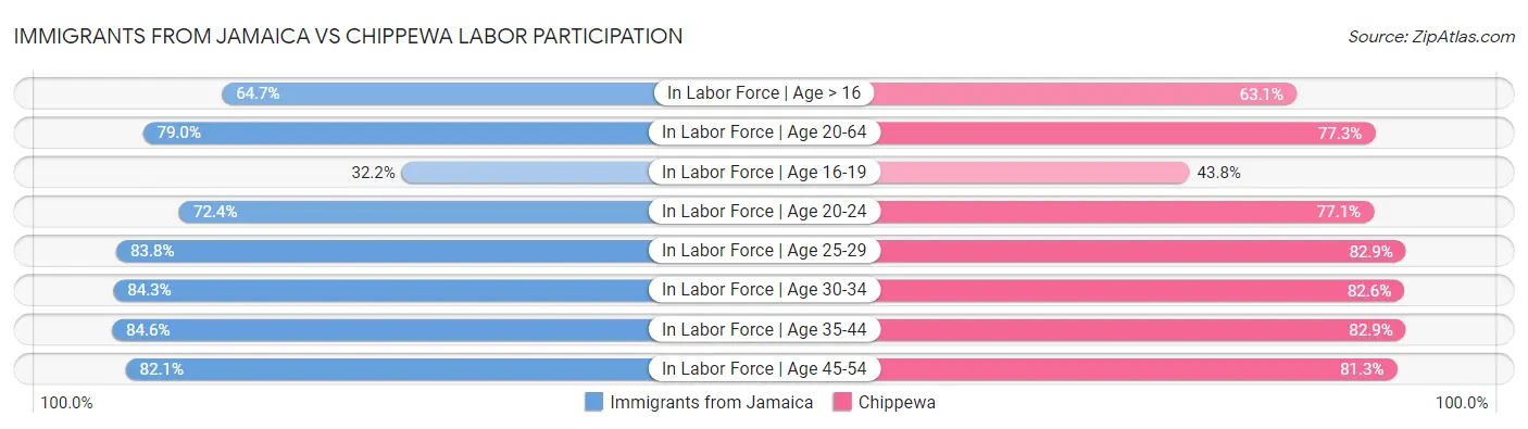 Immigrants from Jamaica vs Chippewa Labor Participation