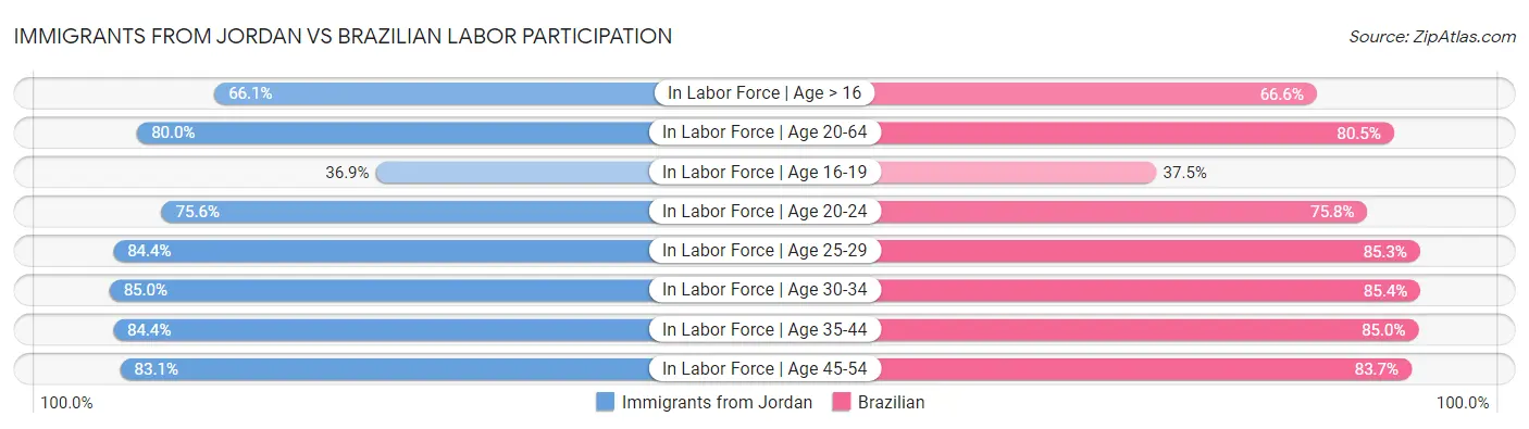 Immigrants from Jordan vs Brazilian Labor Participation