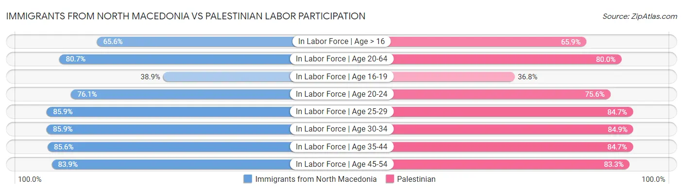Immigrants from North Macedonia vs Palestinian Labor Participation
