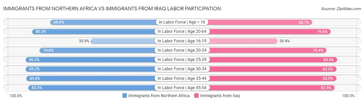 Immigrants from Northern Africa vs Immigrants from Iraq Labor Participation