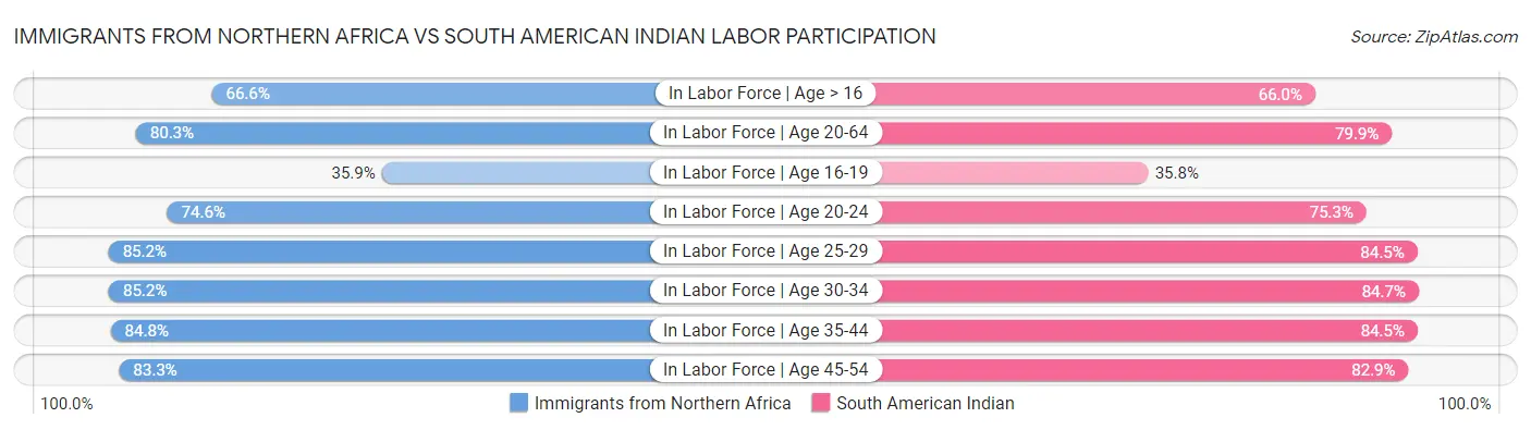 Immigrants from Northern Africa vs South American Indian Labor Participation