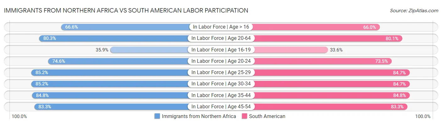 Immigrants from Northern Africa vs South American Labor Participation