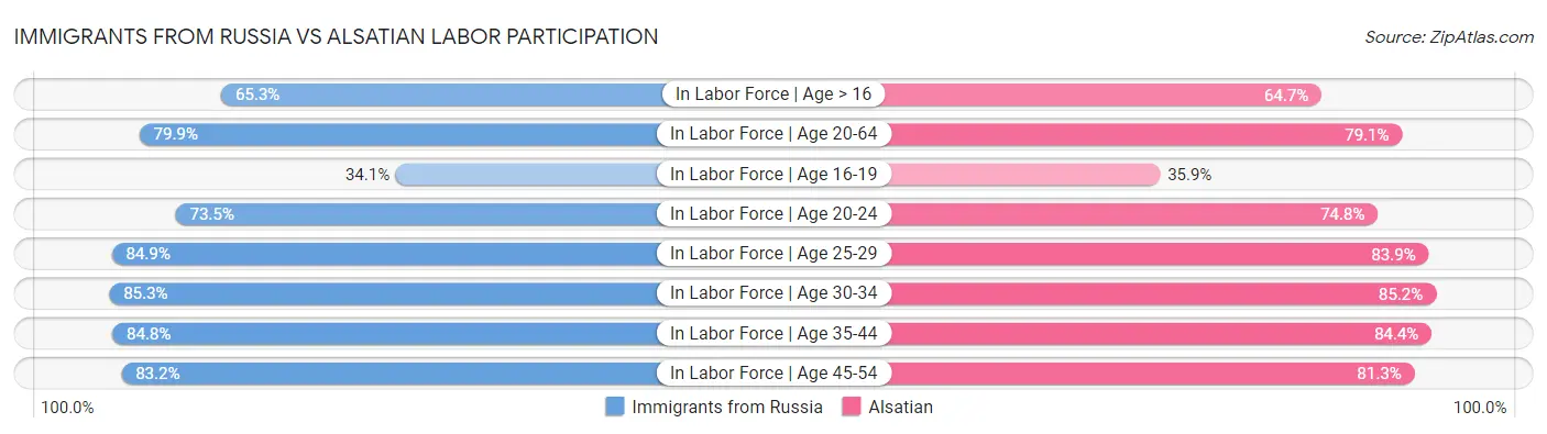 Immigrants from Russia vs Alsatian Labor Participation