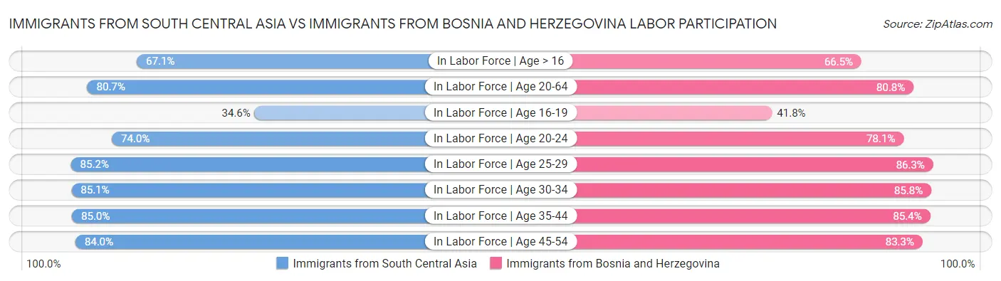 Immigrants from South Central Asia vs Immigrants from Bosnia and Herzegovina Labor Participation