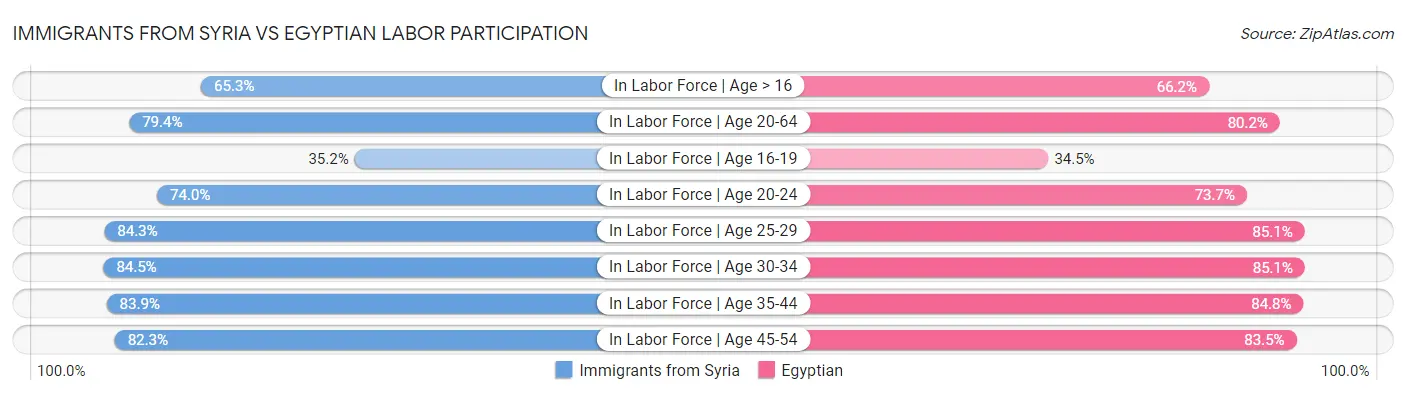 Immigrants from Syria vs Egyptian Labor Participation