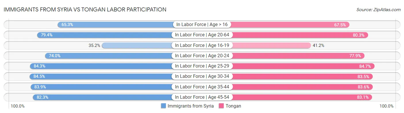 Immigrants from Syria vs Tongan Labor Participation