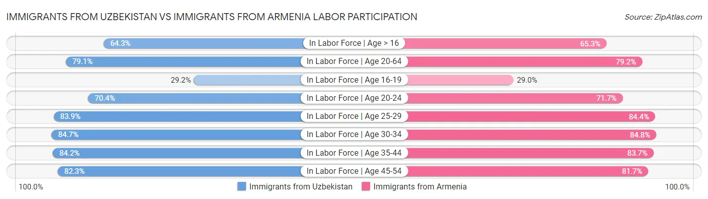 Immigrants from Uzbekistan vs Immigrants from Armenia Labor Participation