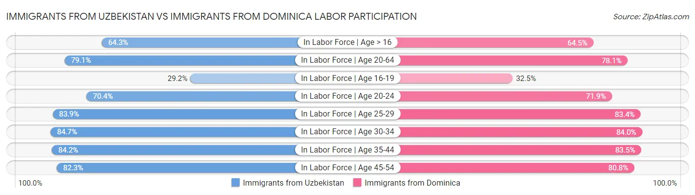 Immigrants from Uzbekistan vs Immigrants from Dominica Labor Participation