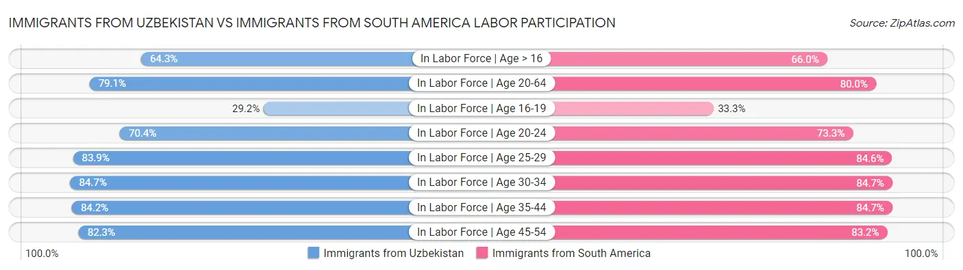 Immigrants from Uzbekistan vs Immigrants from South America Labor Participation