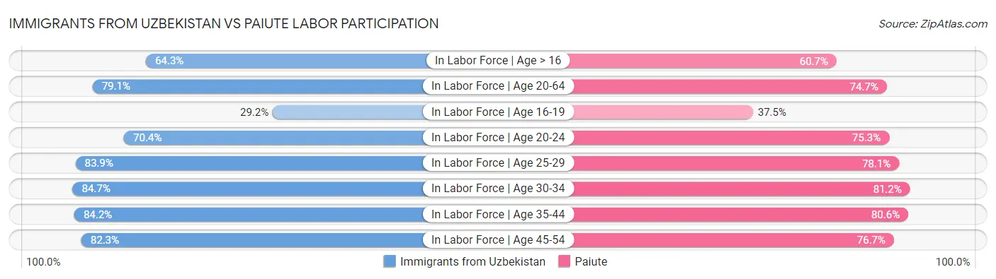 Immigrants from Uzbekistan vs Paiute Labor Participation