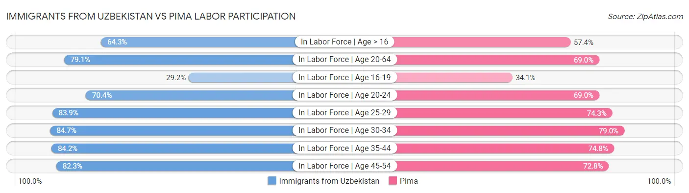 Immigrants from Uzbekistan vs Pima Labor Participation