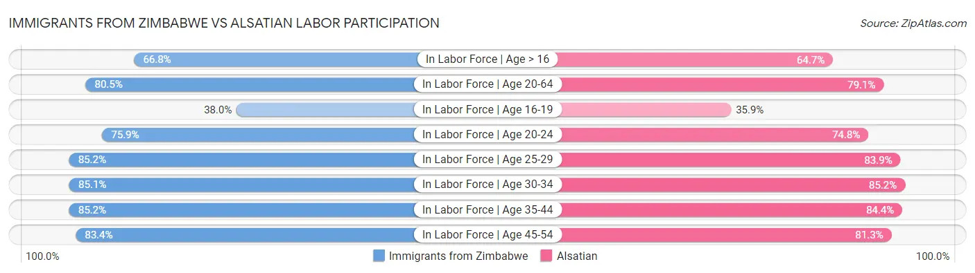 Immigrants from Zimbabwe vs Alsatian Labor Participation