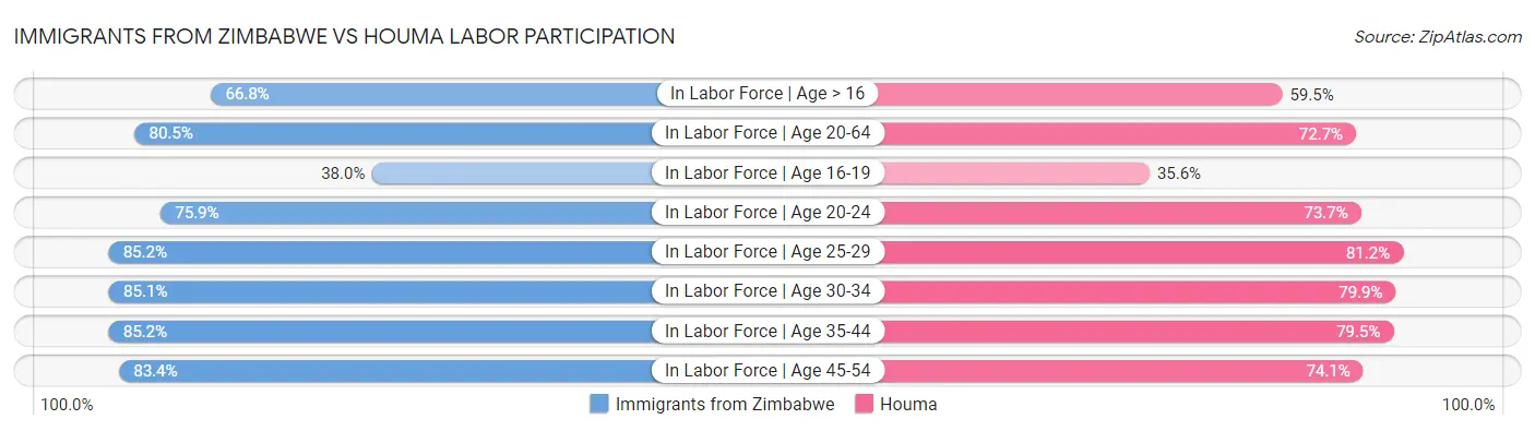 Immigrants from Zimbabwe vs Houma Labor Participation