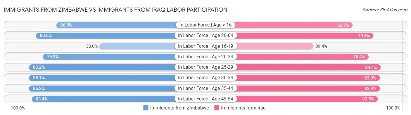Immigrants from Zimbabwe vs Immigrants from Iraq Labor Participation