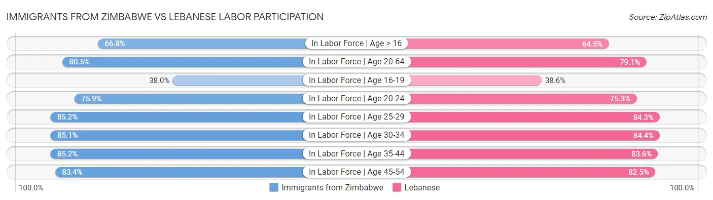 Immigrants from Zimbabwe vs Lebanese Labor Participation