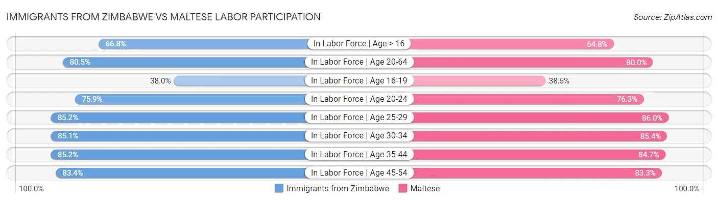 Immigrants from Zimbabwe vs Maltese Labor Participation