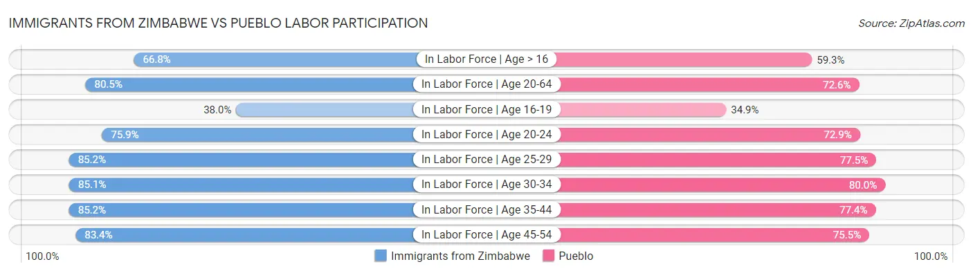 Immigrants from Zimbabwe vs Pueblo Labor Participation