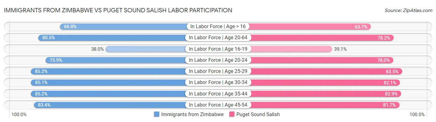 Immigrants from Zimbabwe vs Puget Sound Salish Labor Participation