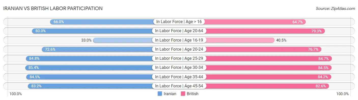 Iranian vs British Labor Participation