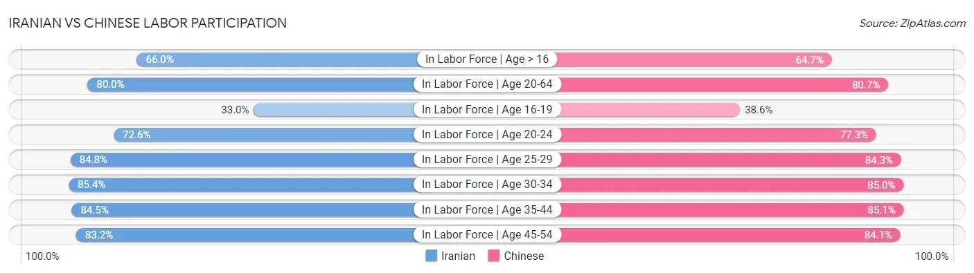 Iranian vs Chinese Labor Participation