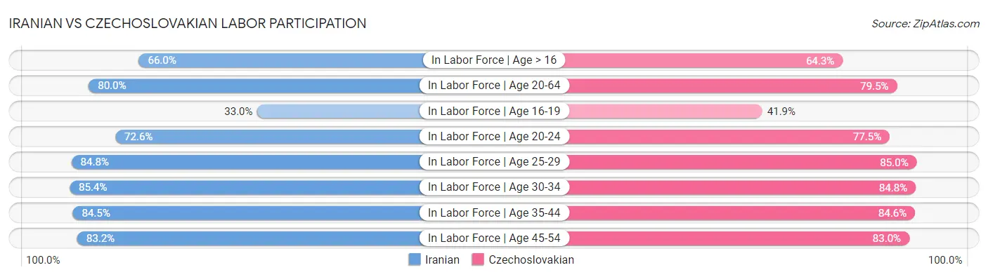 Iranian vs Czechoslovakian Labor Participation
