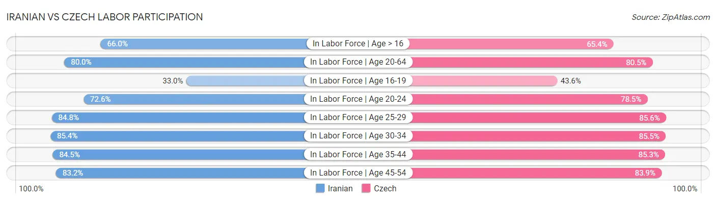 Iranian vs Czech Labor Participation