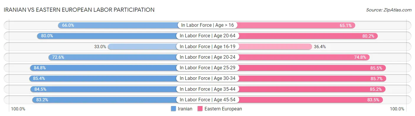 Iranian vs Eastern European Labor Participation