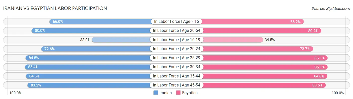 Iranian vs Egyptian Labor Participation