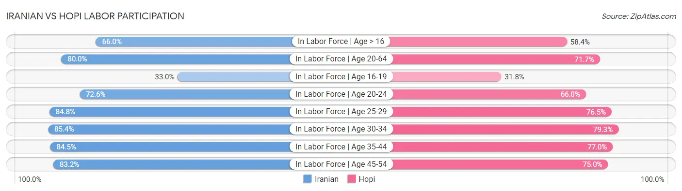 Iranian vs Hopi Labor Participation