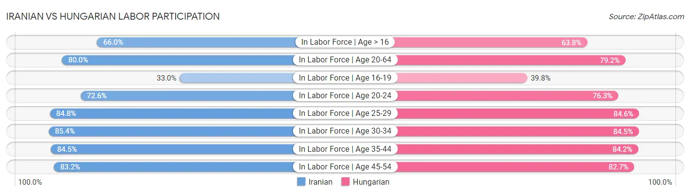 Iranian vs Hungarian Labor Participation