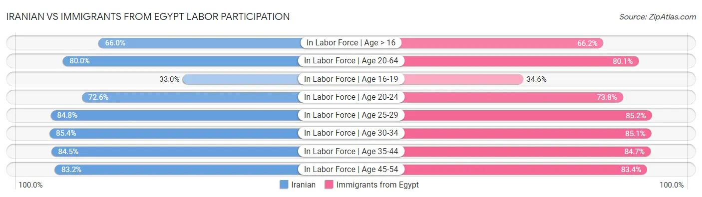 Iranian vs Immigrants from Egypt Labor Participation