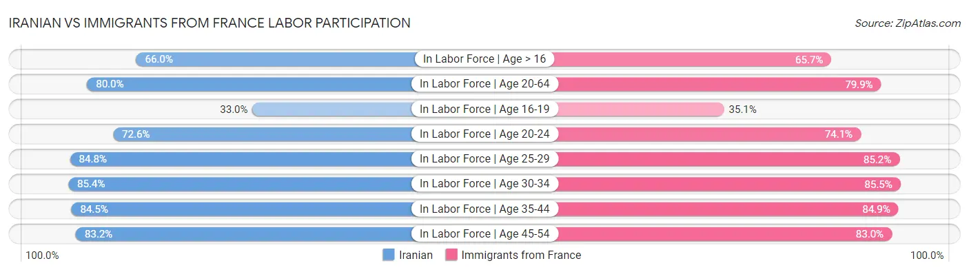 Iranian vs Immigrants from France Labor Participation