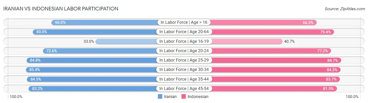 Iranian vs Indonesian Labor Participation