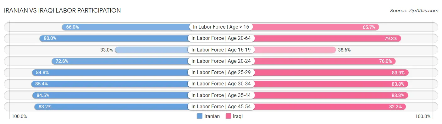 Iranian vs Iraqi Labor Participation