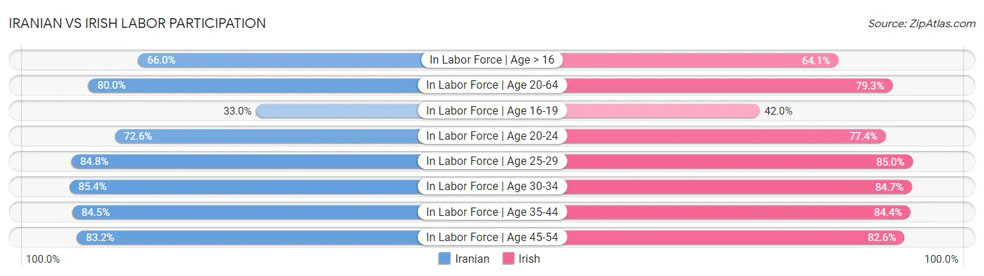 Iranian vs Irish Labor Participation